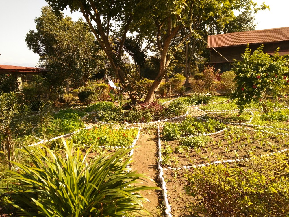 IMG_20181214_112811[1]