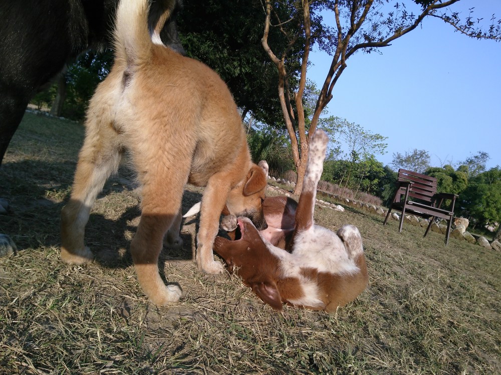 IMG_20181214_154643[1]